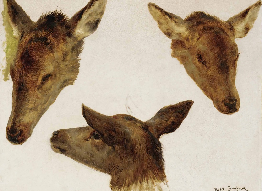 Study Of Deer Heads by Роза Бонёр — digital art print download