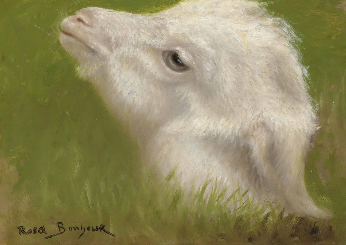 Head Of A Lamb by Роза Бонёр — digital art print download