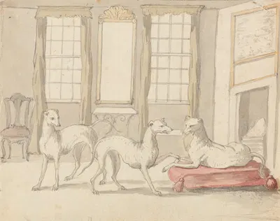 Three Greyhounds in a Room by Питер Кастелс — digital art print download