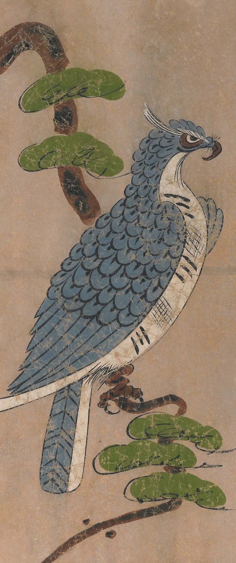 Peregrine Falcon by Аноним — digital art print download