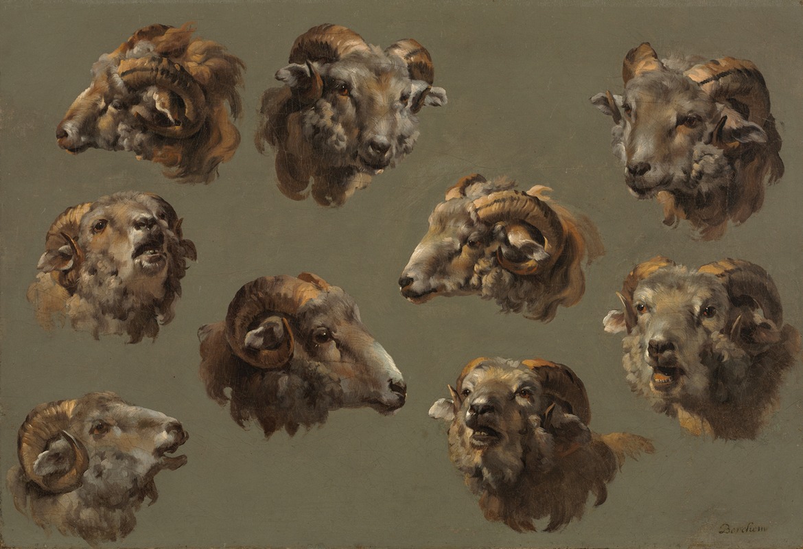 Studies of Ram Heads by Аноним — digital art print download