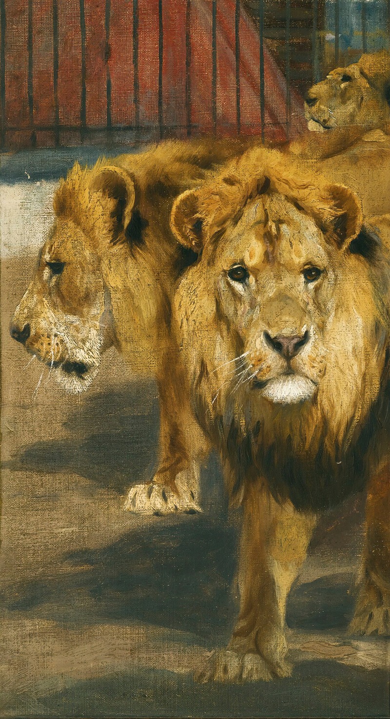 Lions by Вильгельм Кунерт — digital art print download