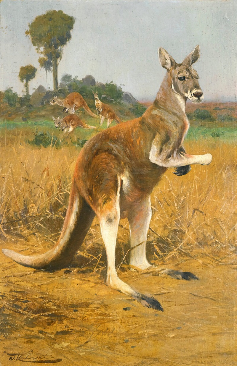 Red Kangaroos In The Outback by Вильгельм Кунерт — digital art print download
