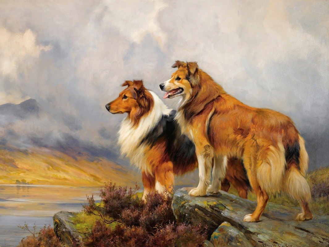 Two Collies Above A Lake by Райт Баркер — digital art print download