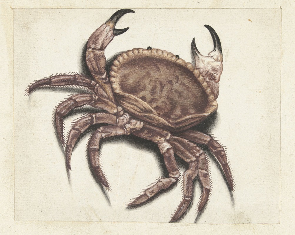 Zeekrab by Аноним, 1560 — digital art print download