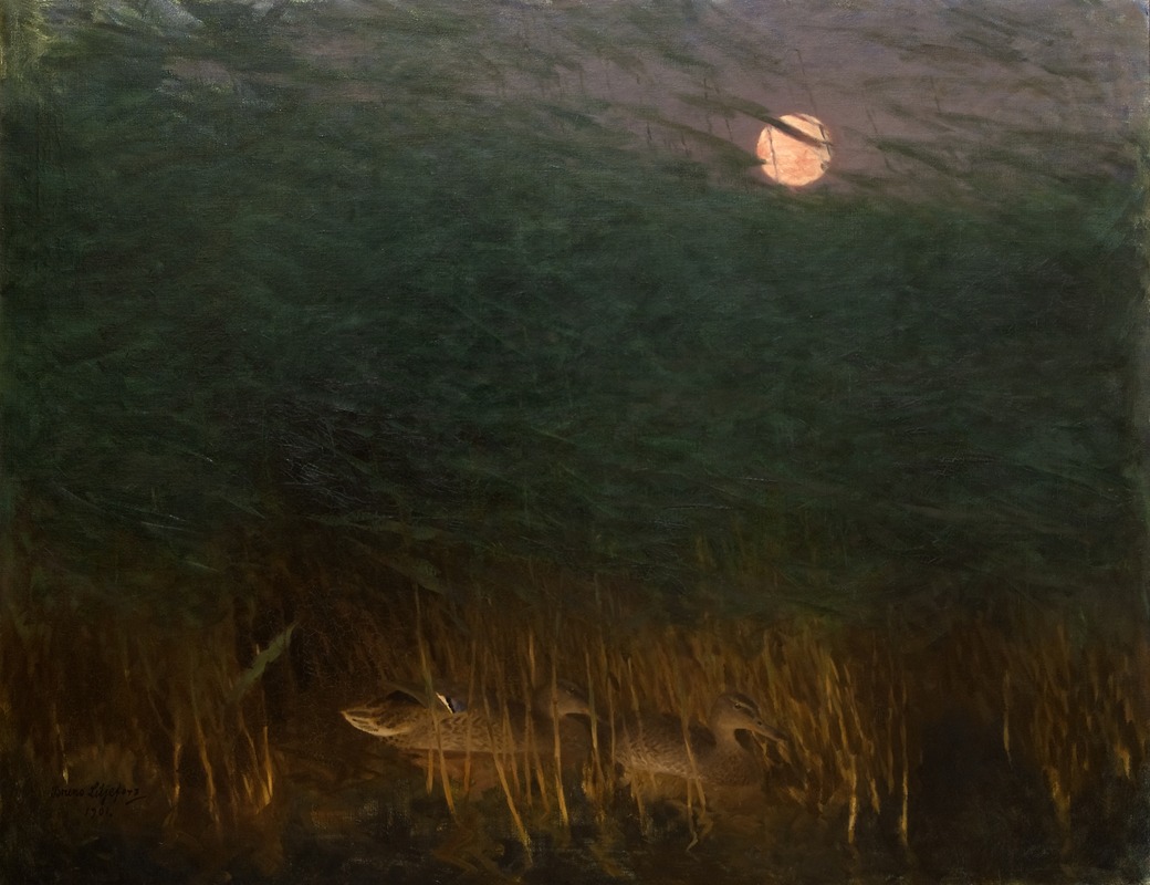 Nocturnal Mood with Wild Ducks by Бруно Лильефорс, 1901 — digital art print download