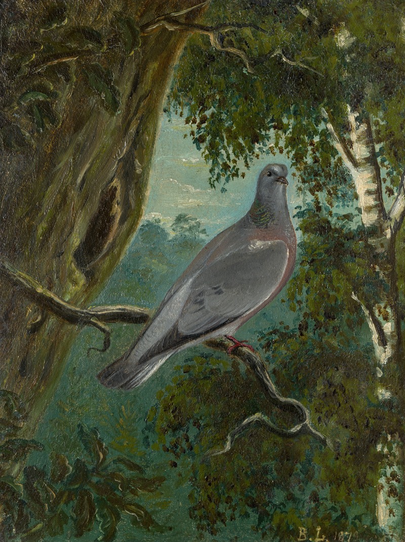Stock Dove by Bruno Liljefors, 1879 — digital art print download