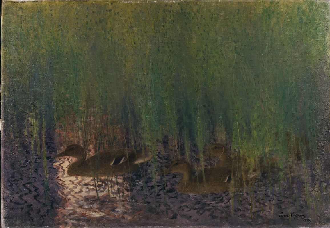 Wild Ducks in Horse-Tail by Бруно Лильефорс, 1901 — digital art print download