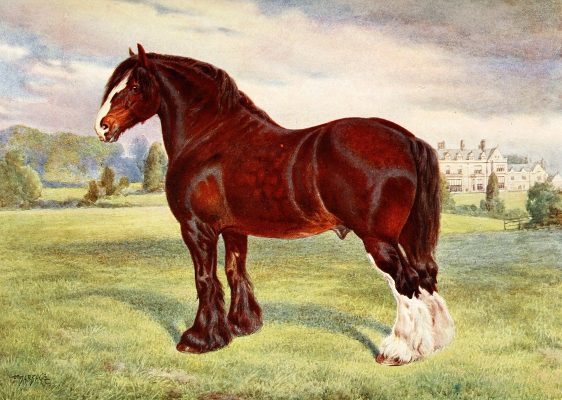 Shire Stallion, Harold by Frank Babbage — digital art print download