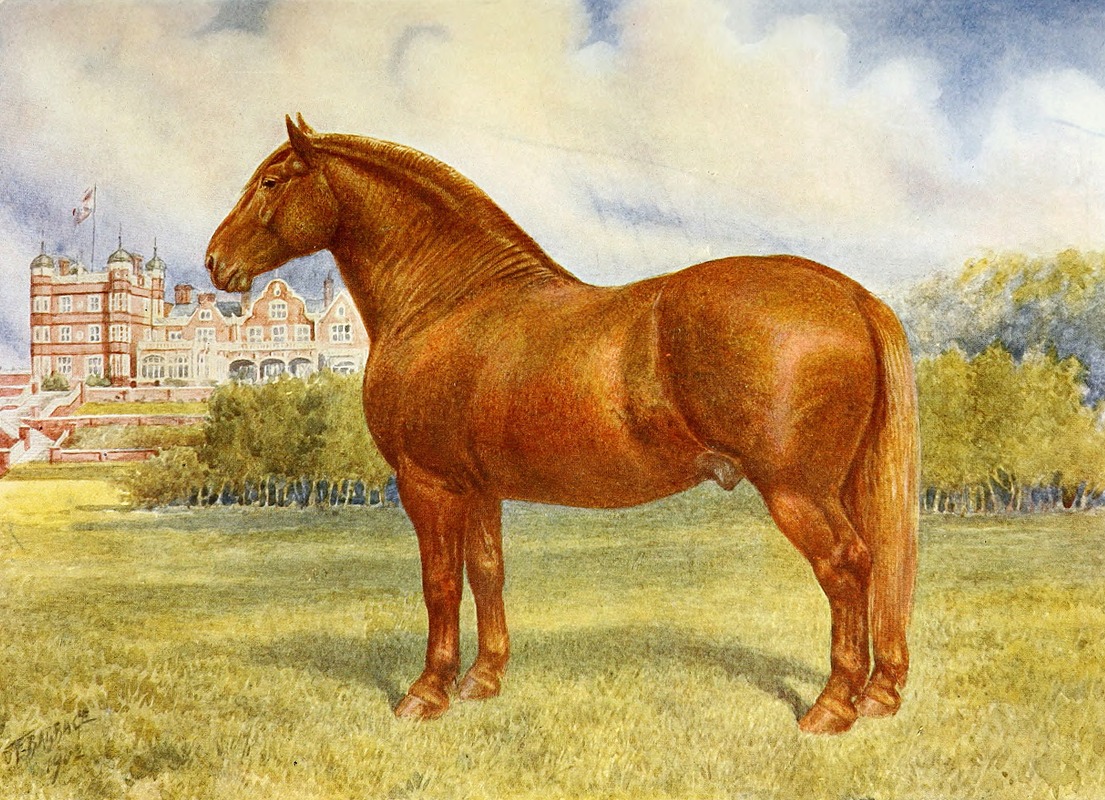 Suffolk Sire, Prince Wedgewood — Frank Babbage