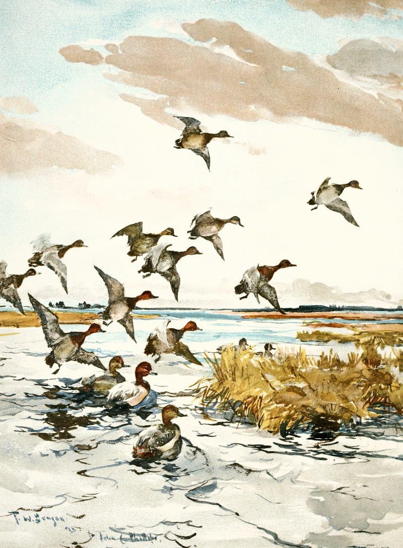 Red-Heads Coming In by Фрэнк Уэстон Бенсон, 1922-1926 — digital art print download