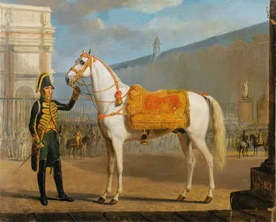 Sara, Napoleon's Horse by Готлоб Александр Заурвейд — digital art print download