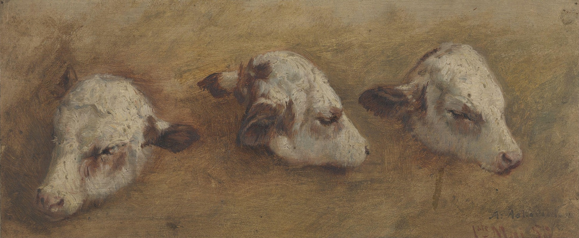 Study of Calfheads by Андерс Аскевольд, 1858 — digital art print download