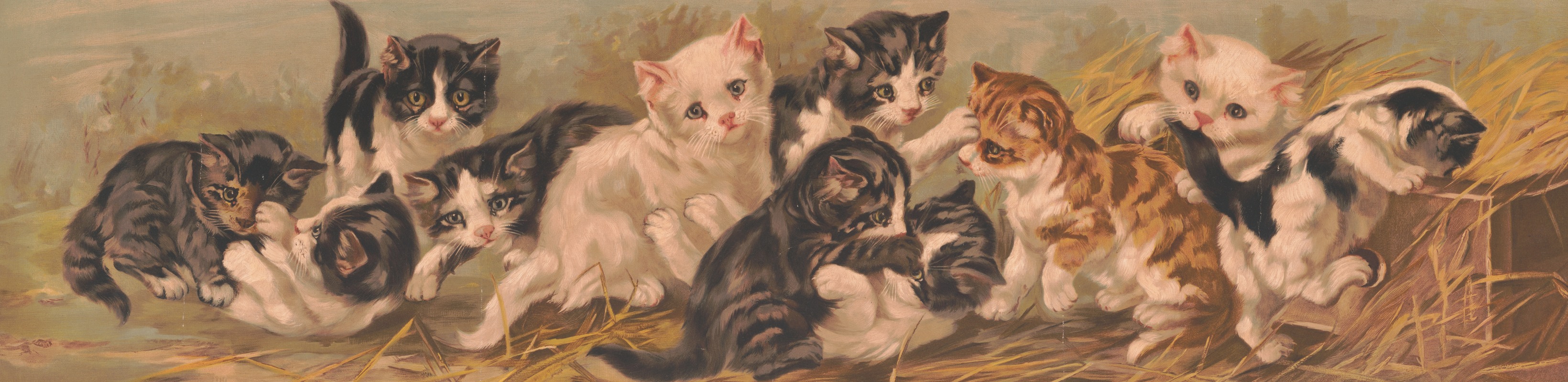 Yard of cats by Аноним, 1895 — digital art print download