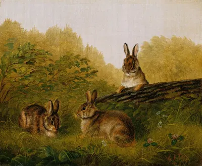 Rabbits on a Log by Arthur Fitzwilliam Tait, 1897 — digital art print download