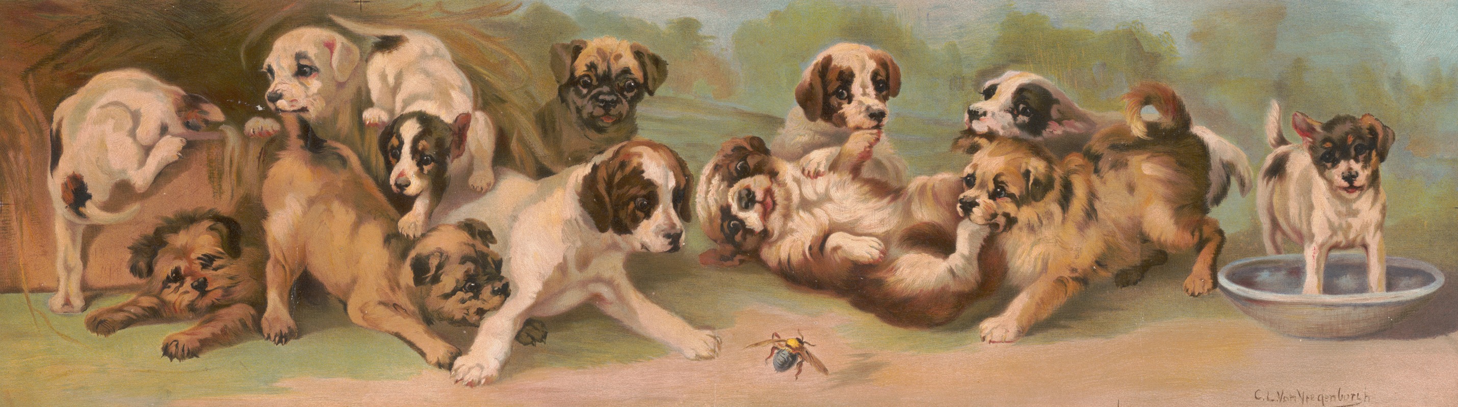 Yard of puppies — C.L. von Vregenborlh