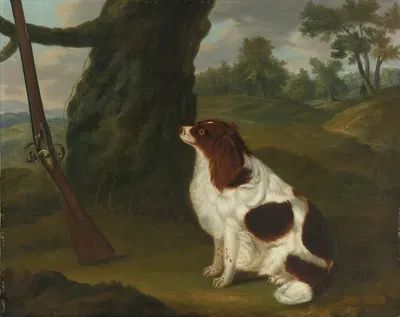 A Spaniel And A Flintlock Shotgun In A Landscape by Francis Sartorius, 1783 — digital art print download