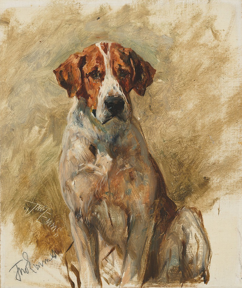 Study of a Hound by Джон Эмс — digital art print download