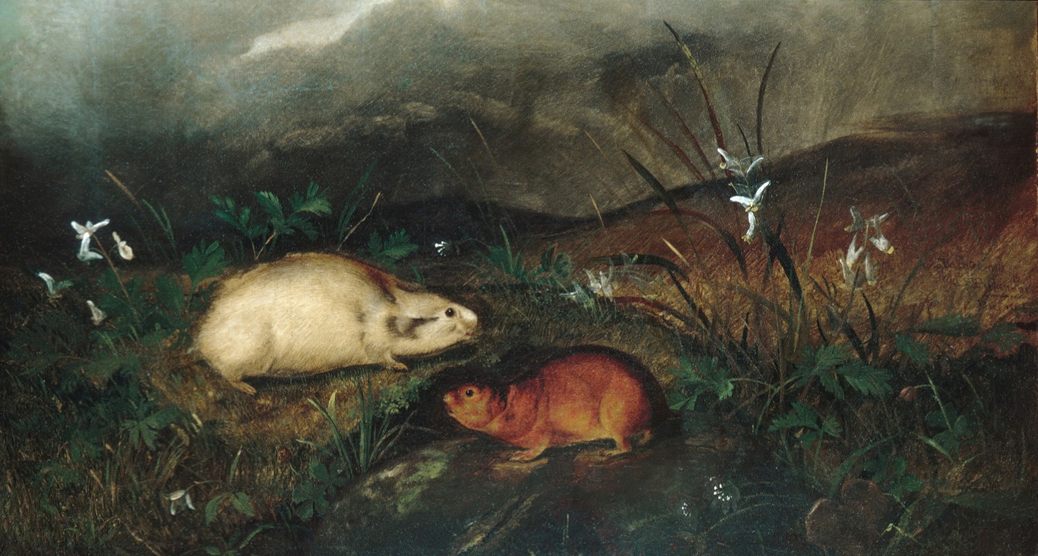 Hudson's Bay Lemming by John Woodhouse Audubon, 1846 — digital art print download