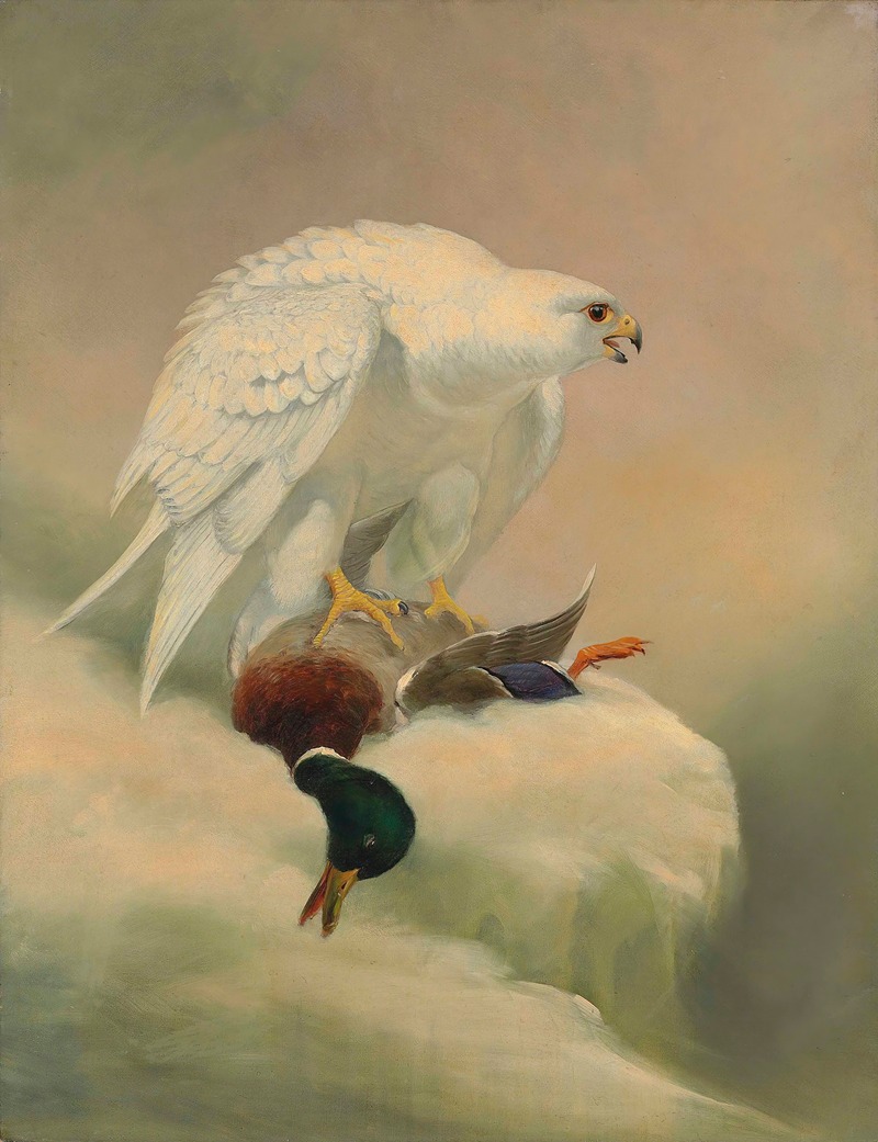 Gyrfalcon by Joseph Wolf — digital art print download