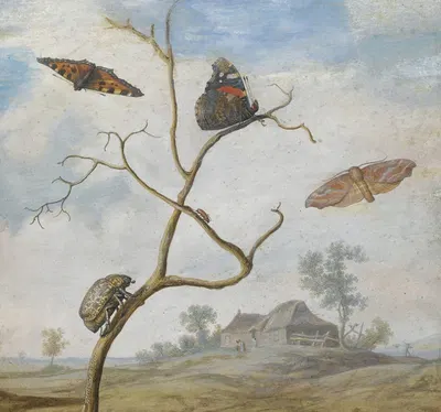 A Cockchafer On A Branch, Two Butterflies, A Moth And A Small Beetle Above, And A Landscape Behind by Маргарета де Хеер —…