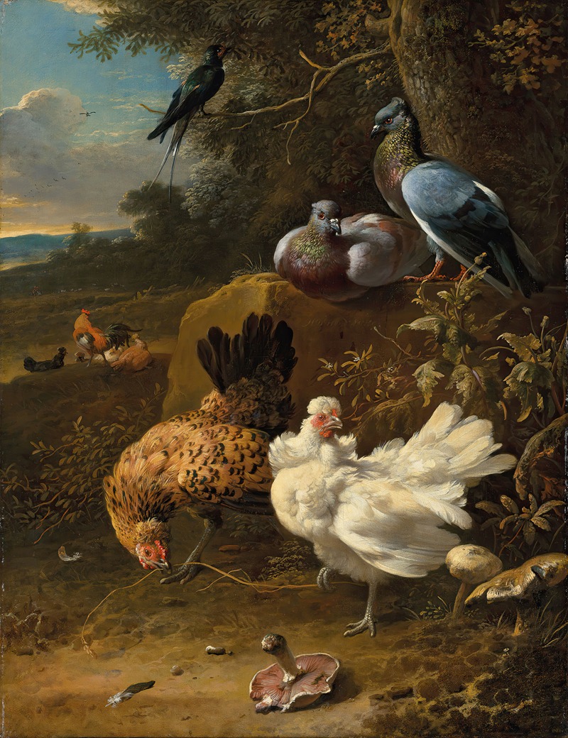 Chickens and pigeons in a landscape — Melchior d'Hondecoeter