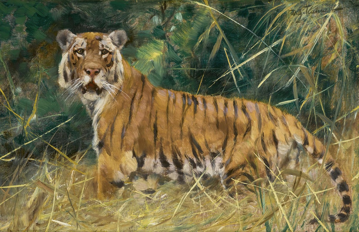 Tiger on the Alert by Wilhelm Kuhnert — digital art print download