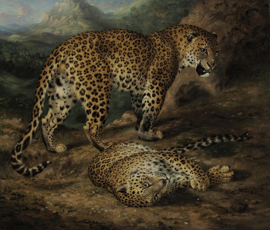 Two leopards by William Huggins — digital art print download