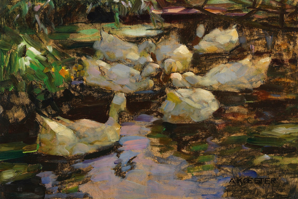 Enten im Wasser, ohne Sonne — Alexander Koester