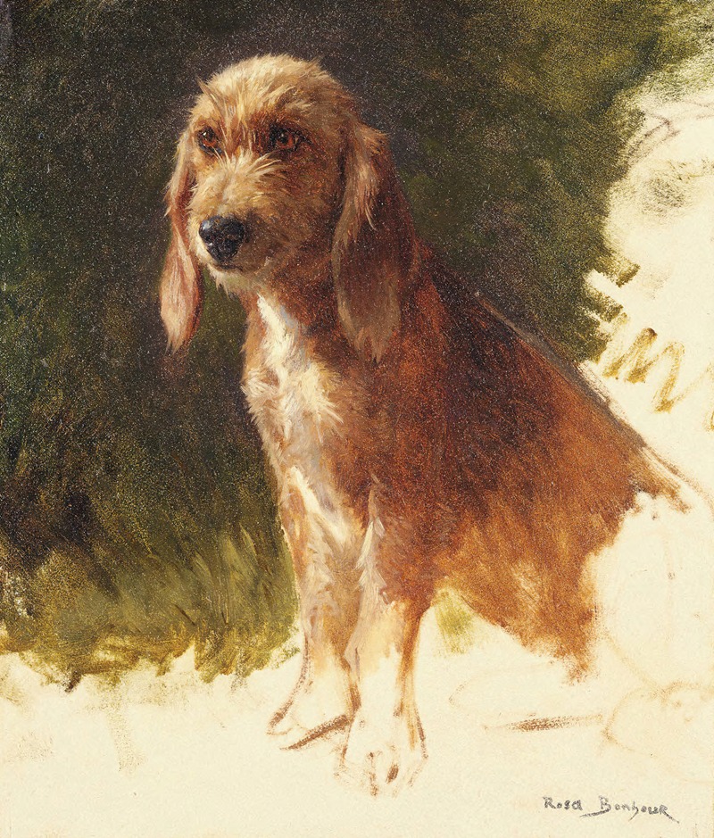 Study of a Dog by Роза Бонёр — digital art print download