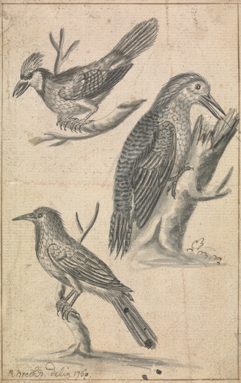Woodpecker and Two Birds by Richard Brookes, 1760 — digital art print download