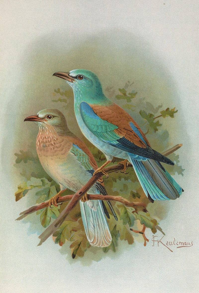 Coracias garrula by Johann Friedrich Naumann — digital art print download