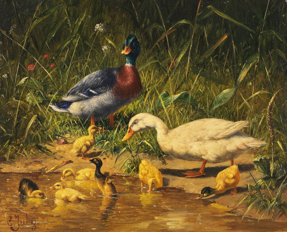 Enten mit Jungen am Wasser — Carl Jutz
