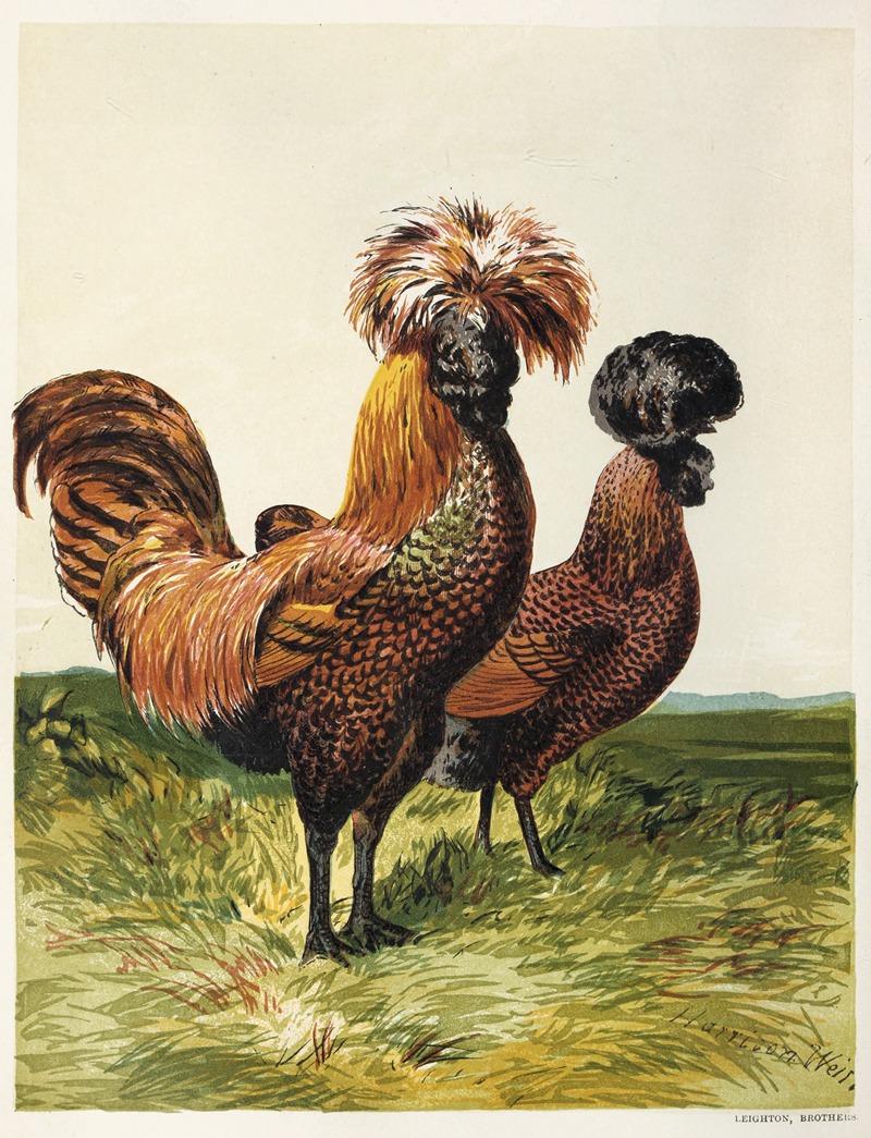 Golden-Spangled Polish by Harrison Weir, 1867 — digital art print download