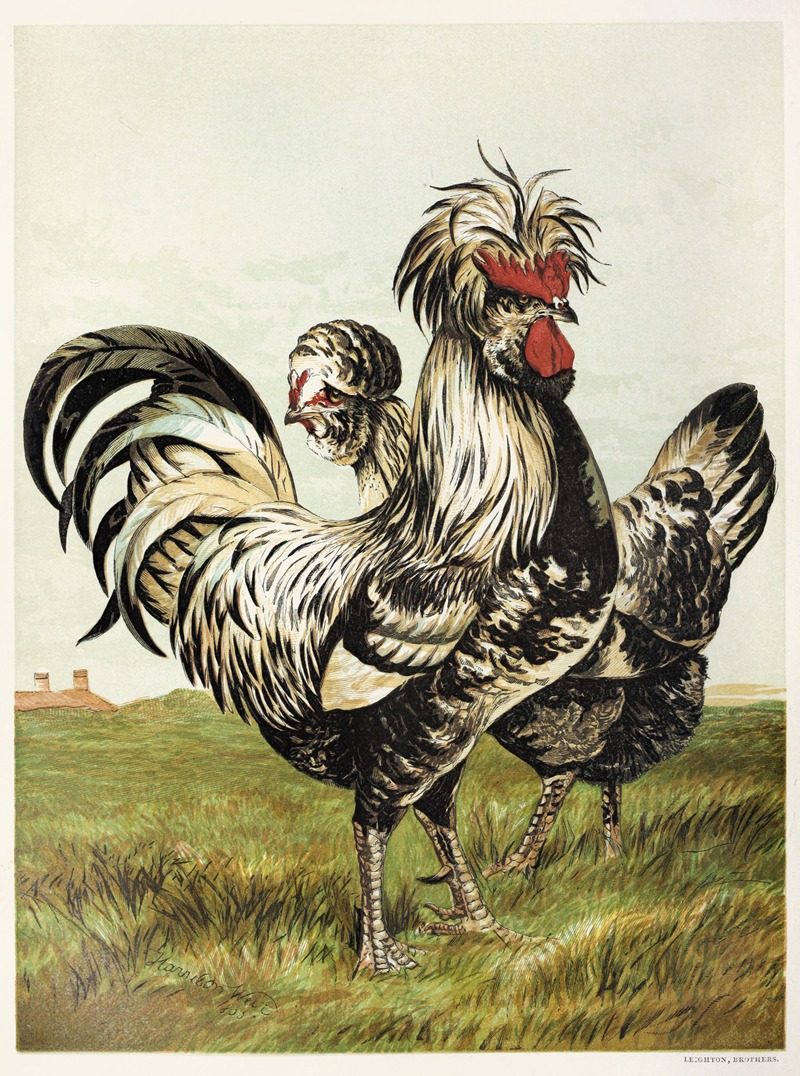 Houdans by Harrison Weir, 1867 — digital art print download
