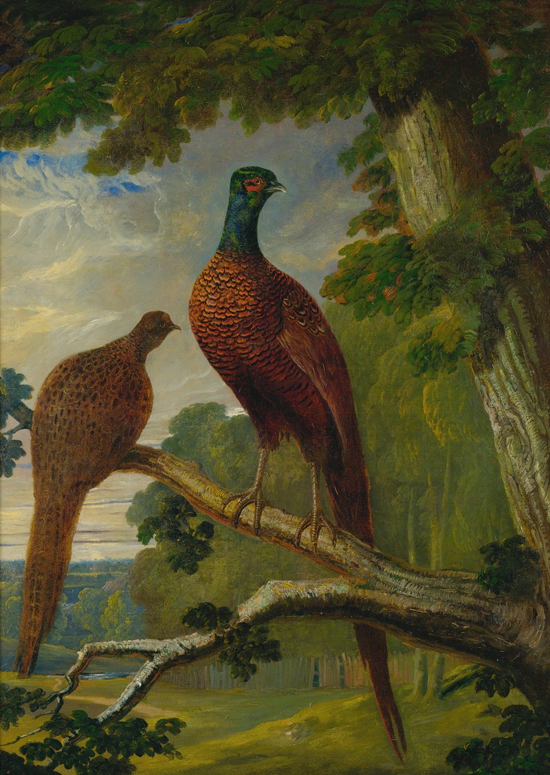 A Pheasant Cock And Hen by Джон Фредерик Херринг-старший, 1825 — digital art print download