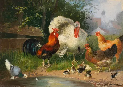 Truthahn, Hahn, Hühner, Küken und Taube an der Tränke by Julius Scheuerer — digital art print download