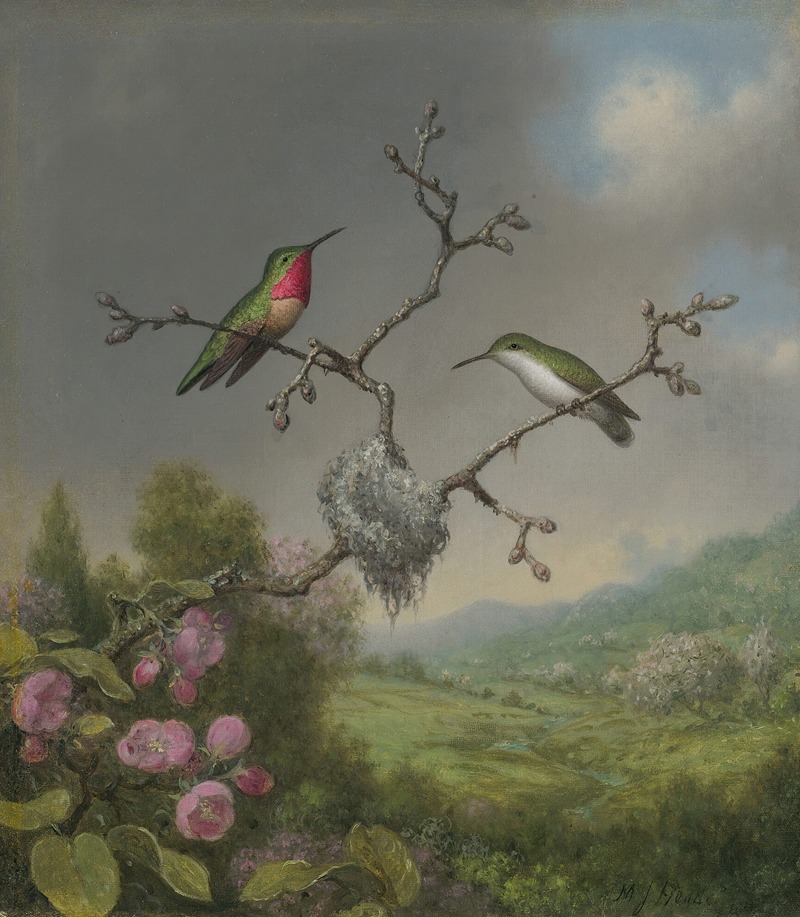 Hummingbirds and apple blossoms by Мартин Джонсон Хид — digital art print download