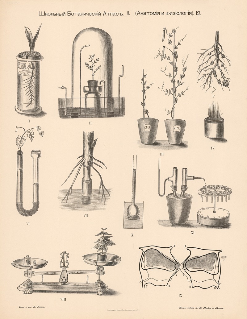 Various experiments by Alexander-Paul Henckel, 1905 — digital art print download