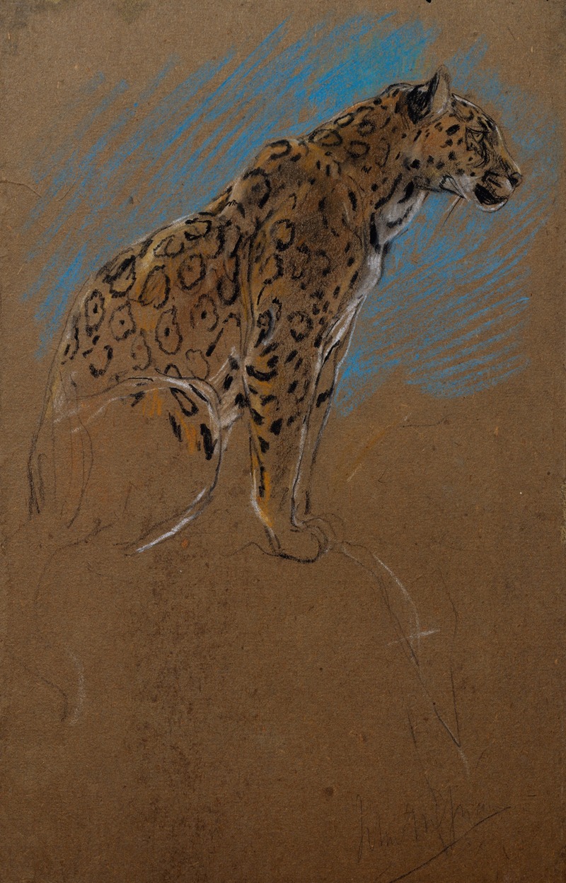 Study of a Jaguar by Джон Макадлан Суон, 1874–1910 — digital art print download