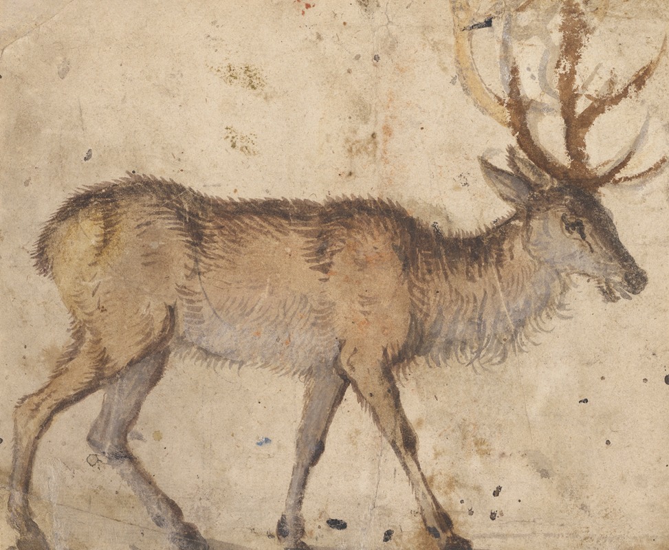 Study of a Stag by Лука Кранах Старший — digital art print download