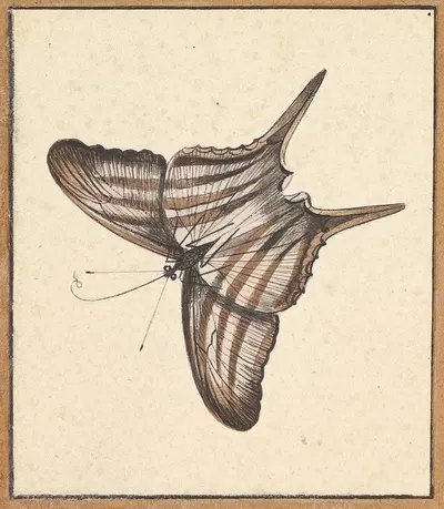 A Butterfly by Nicolaas Struyk — digital art print download
