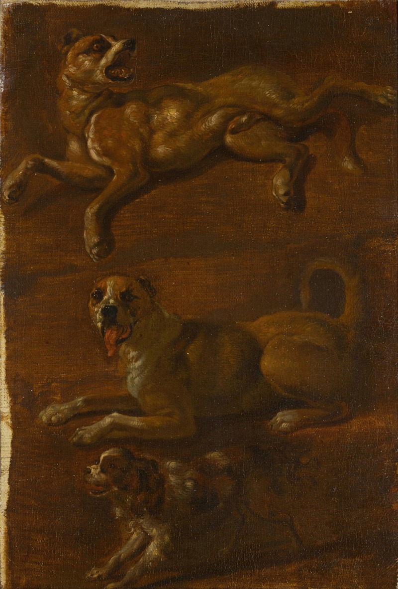 Three studies of dogs by Голландская школа — digital art print download