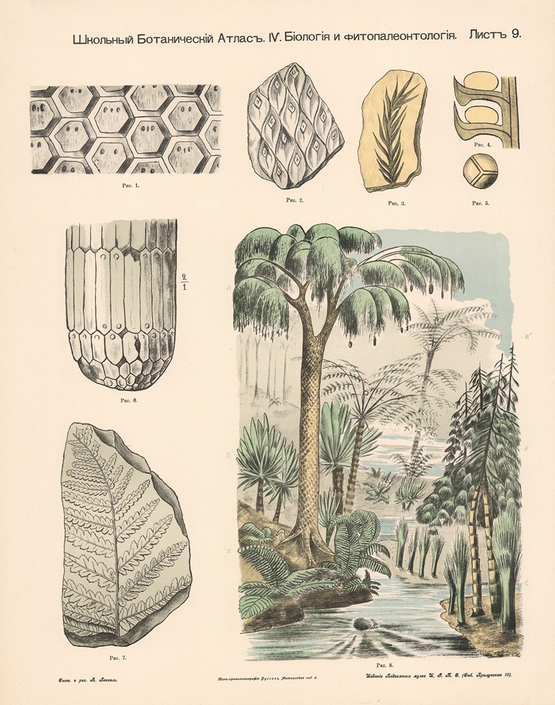 Ferns and Cryptogams by Alexander-Paul Henckel, 1905 — digital art print download