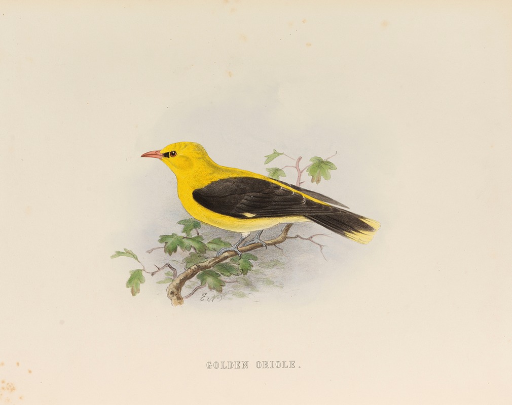 Golden Creole by Edwin Carton Booth, 1881 — digital art print download