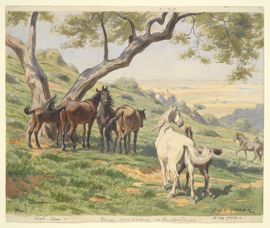 Horses in Field, Tivoli — Evert Louis van Muyden