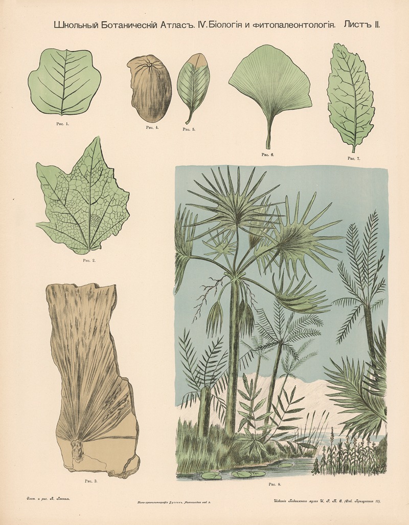 Marsh plants. Fossils. by Alexander-Paul Henckel, 1905 — digital art print download