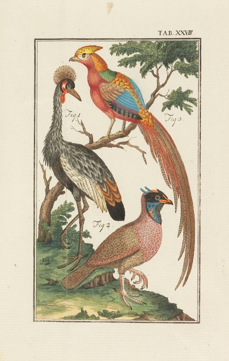 Naturlehre by Johann Jacob Ebert, 1793 — digital art print download