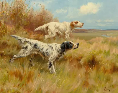English setters on point by Томас Блинкс — digital art print download