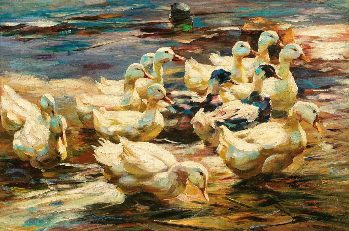 Ducks Getting Out of the Water — Alexander Koester